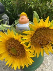 Kuchen Hubert Figur steht zwischen zwei Sonnenblumen.